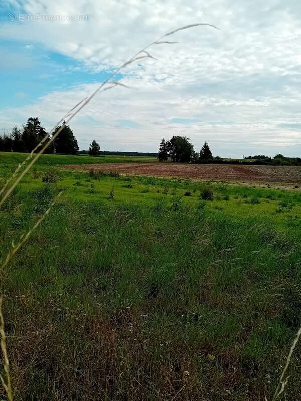 Terrain à GROSSOEUVRE