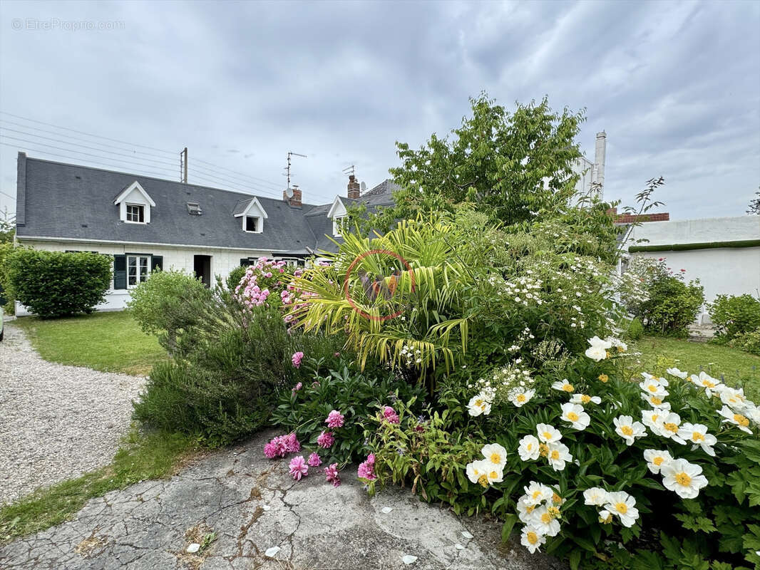 Maison à DAINVILLE