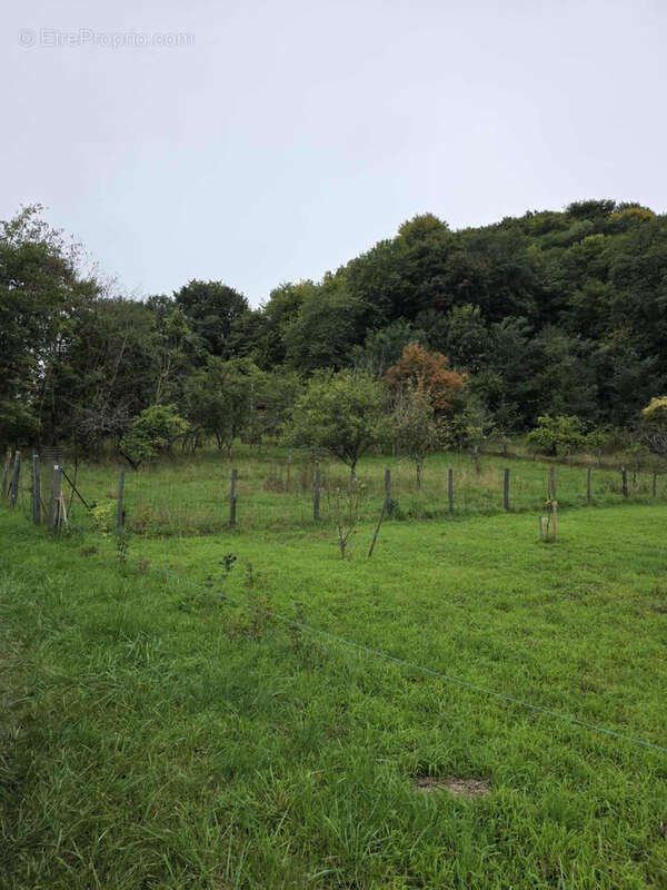 Terrain à SAINT-MAURICE-SOUS-LES-COTES