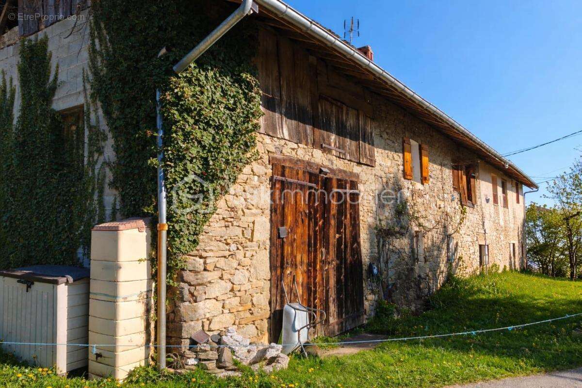 Maison à MASSINGY