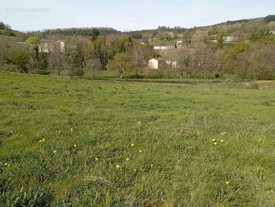 Terrain à FERRIERES-SUR-SICHON