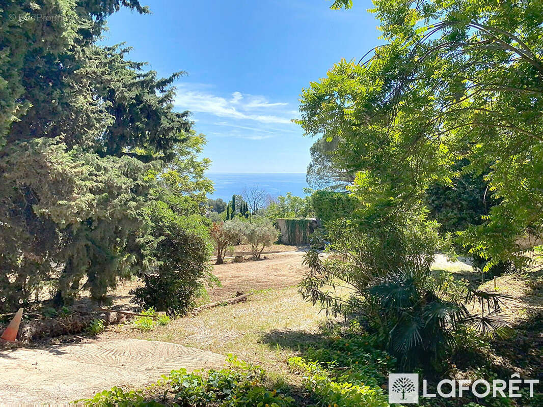 Terrain à ROQUEBRUNE-CAP-MARTIN
