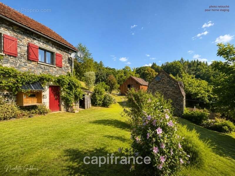 Domaine avec Trois Gîtes, Deux Sources Naturelles, Deux Piscines et 6 Hectares aux Portes de Beaulieu-sur-Dordogne - photo 56