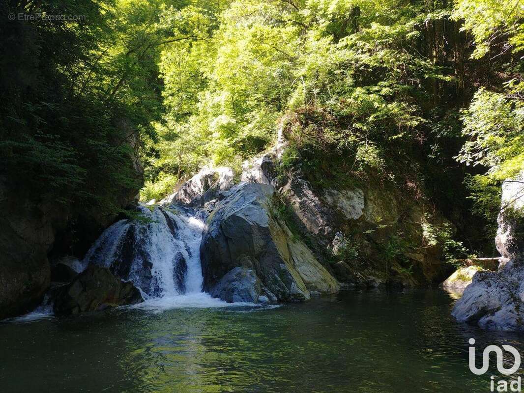 Photo 9 - Maison à SAINT-LAURENT-DE-CERDANS