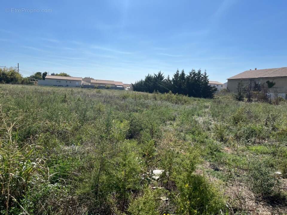 Terrain à PIERRELATTE