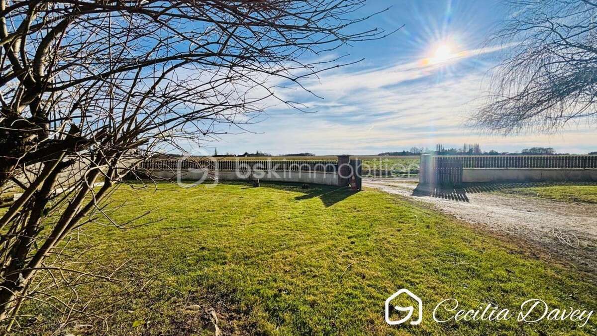 Maison à VILLENEUVE-SUR-YONNE