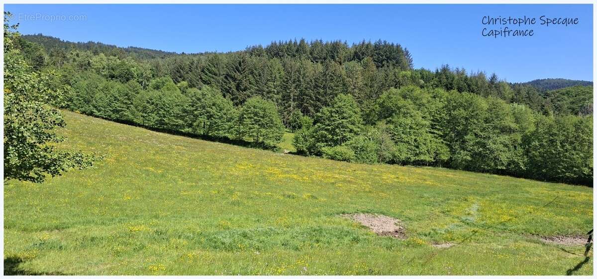 Propriete à vendre 5 pièces ARCONSAT (63) - photo 7