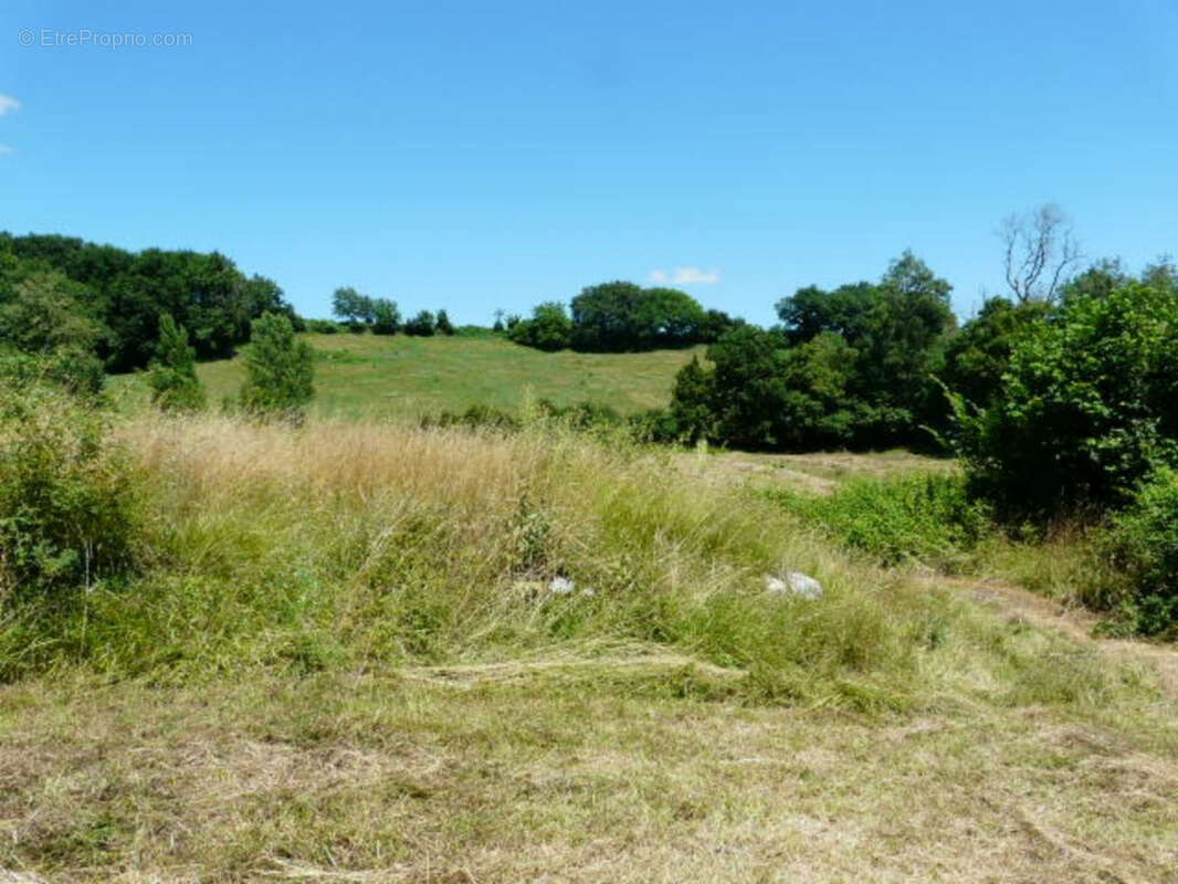 Ancienne Maison de Maître terre et bois 6 Ha - photo 26