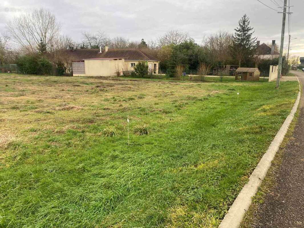 Terrain 1000 m² à Blaincourt-Sur-Aube  - photo 2