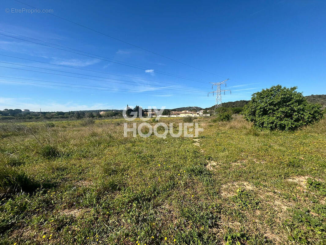 Terrain à NARBONNE