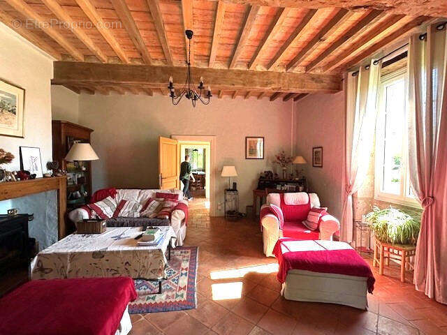 salon.. - Maison à LECTOURE