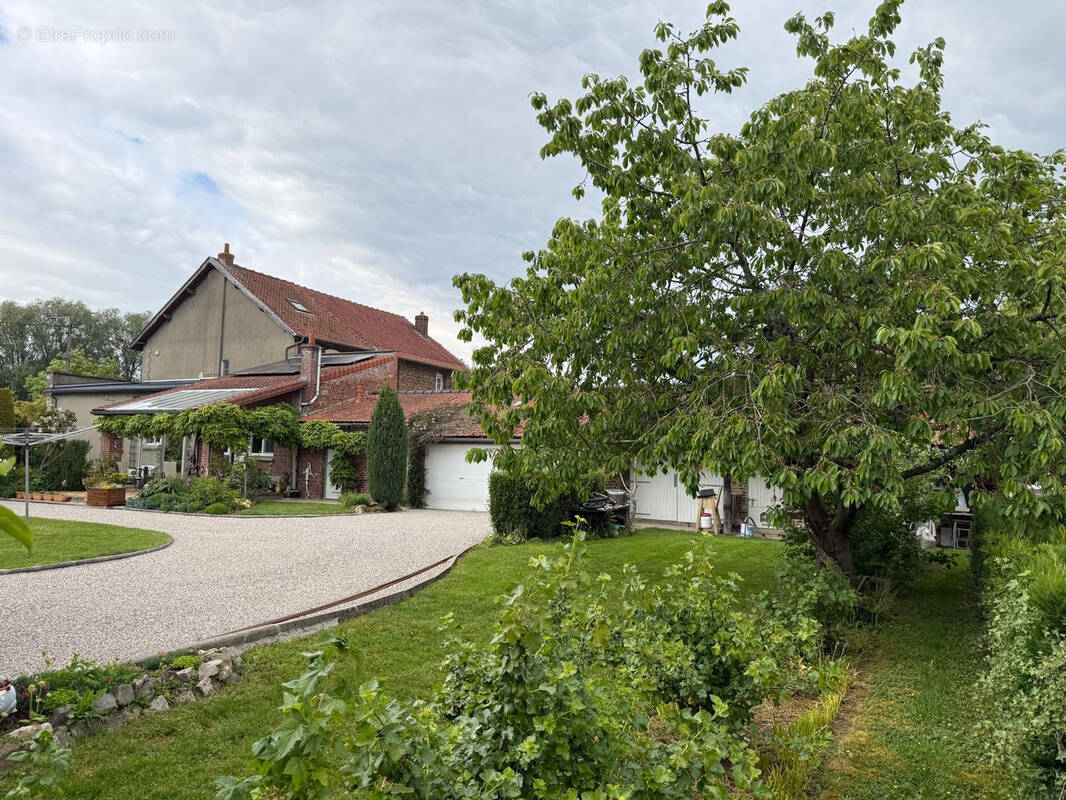 Maison à LAVENTIE