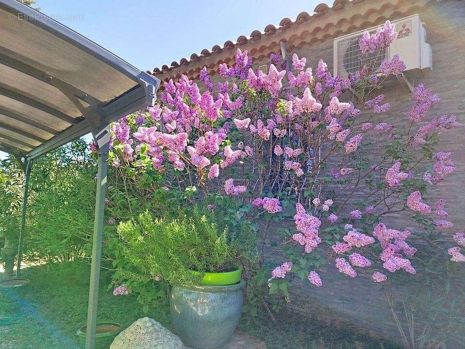 Maison à BRUE-AURIAC