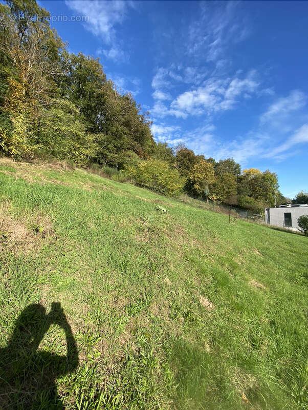 Terrain à STEINBACH