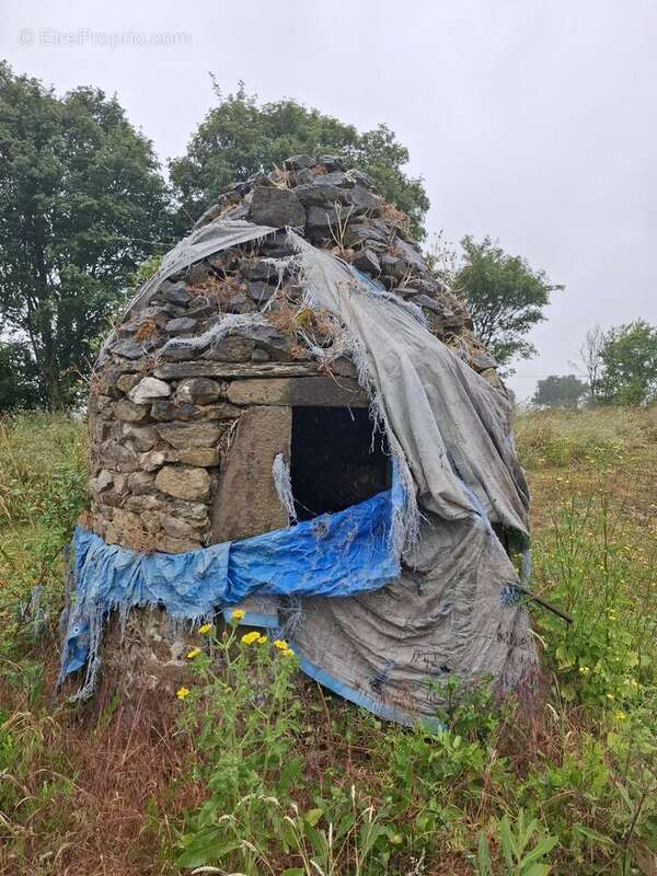 Terrain à ASSE-LE-BOISNE