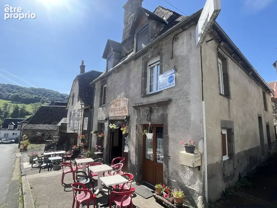 Centre d'Egliseneuve d'Entraigues Bar avec activité d’Hôtel-Restaurant - photo 2