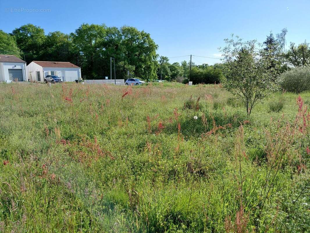 Terrain à LA CHAPELLE-DES-POTS
