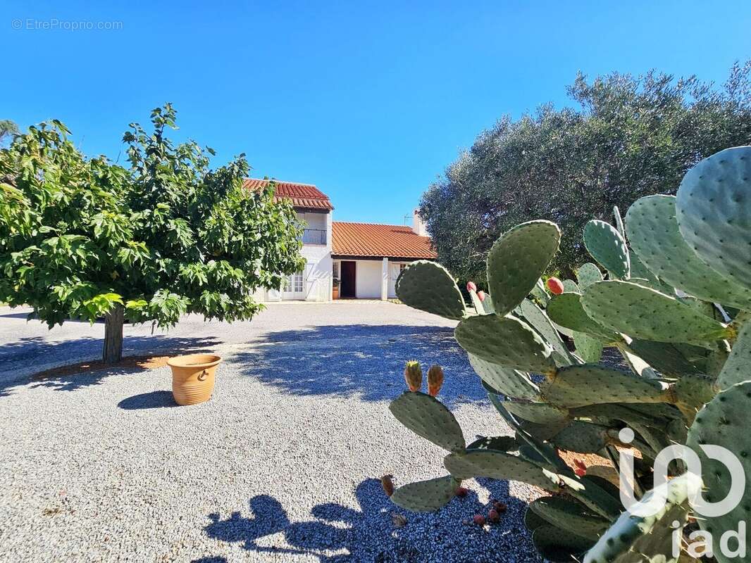 Photo 4 - Maison à CABESTANY