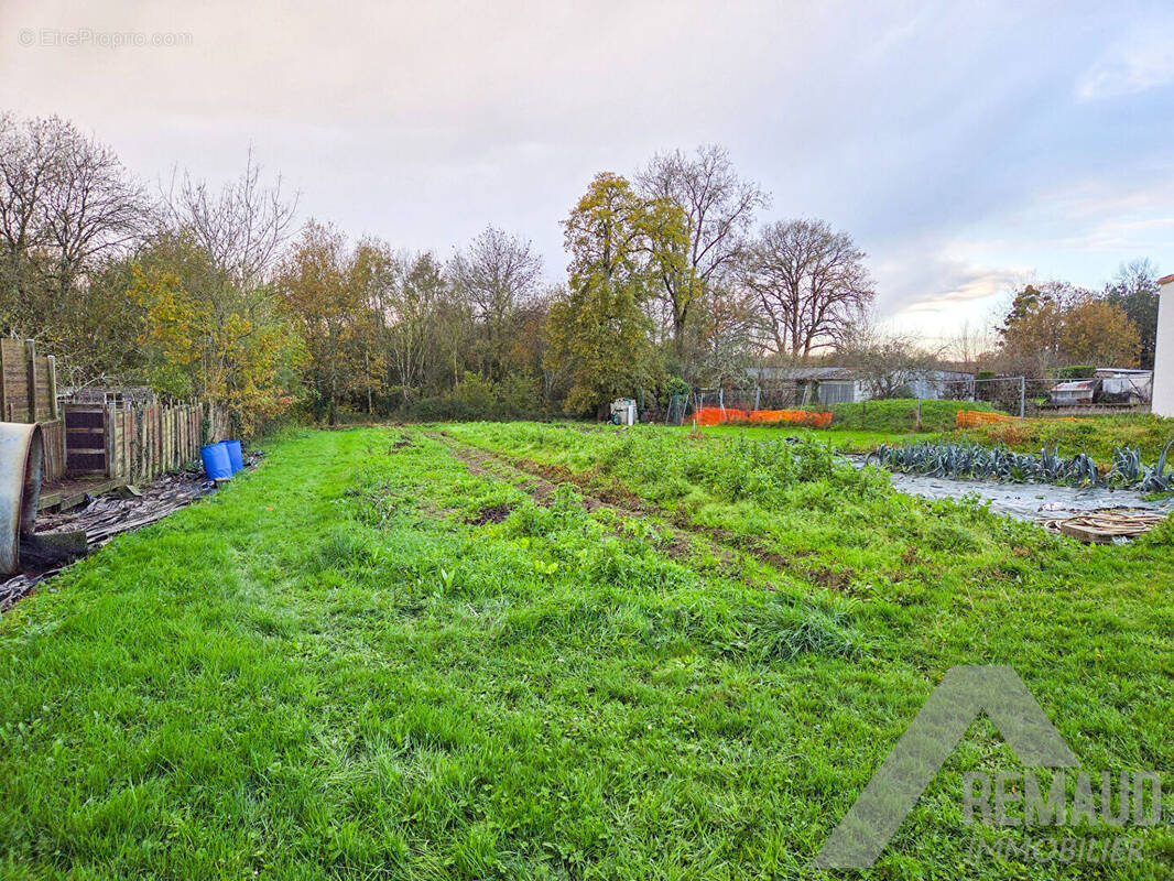Terrain à PALLUAU