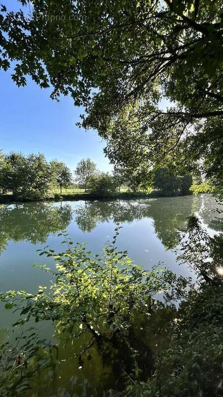 IMG2349 - Terrain à NIORT