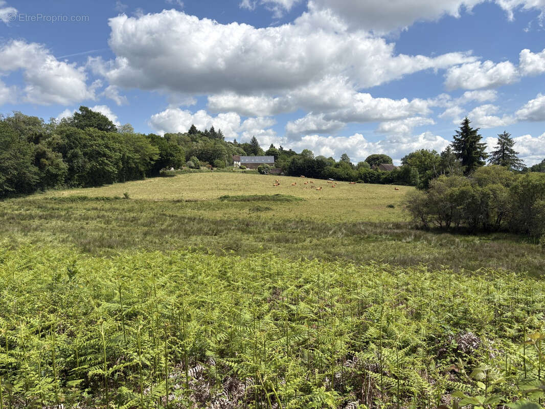 Proche Saint Yrieix La Perche - photo 2