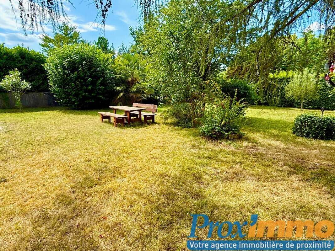 Terrain à COUBLEVIE