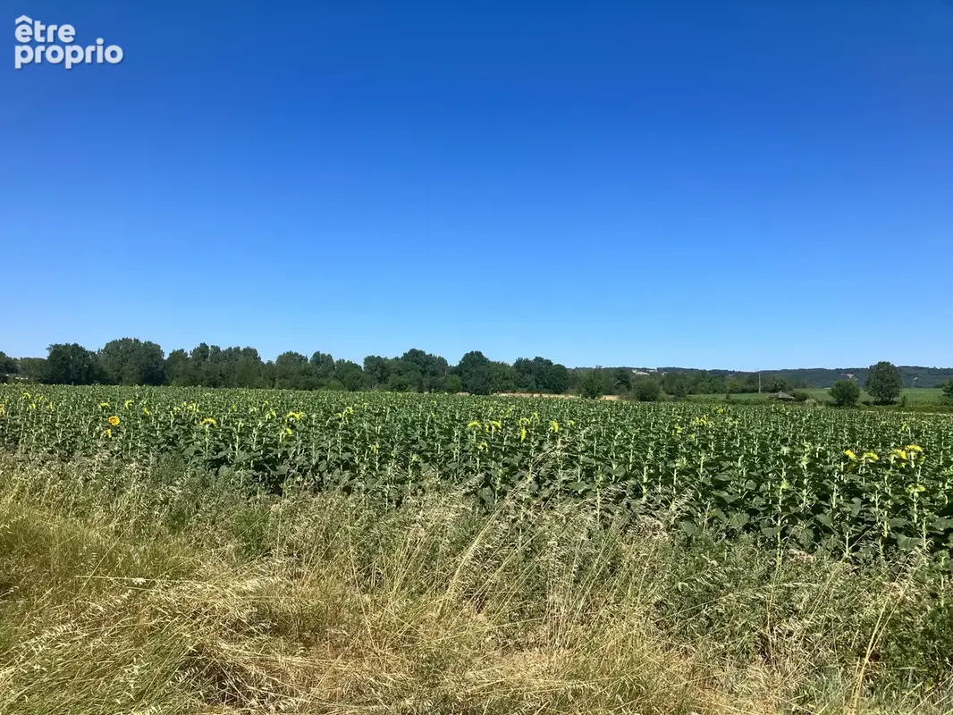 Terrain à CHEYSSIEU