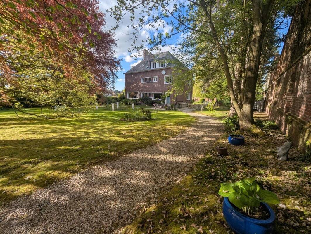 Photo 1 - Maison à FRIVILLE-ESCARBOTIN