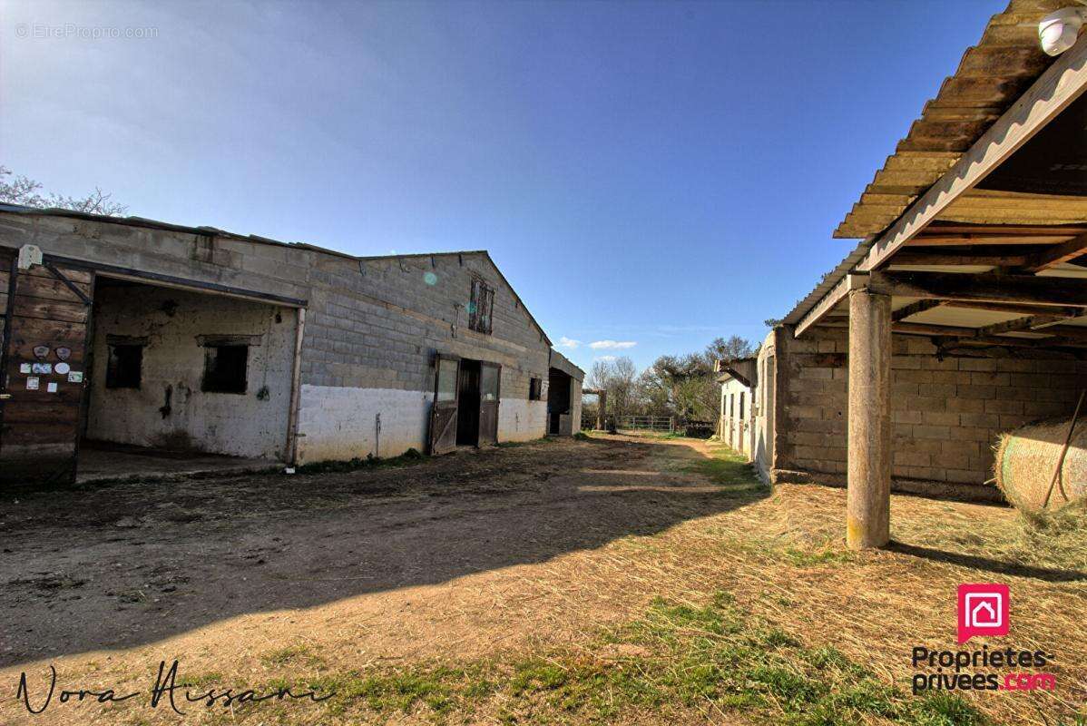 Ecuries 10 boxes 4 hectares - photo 4