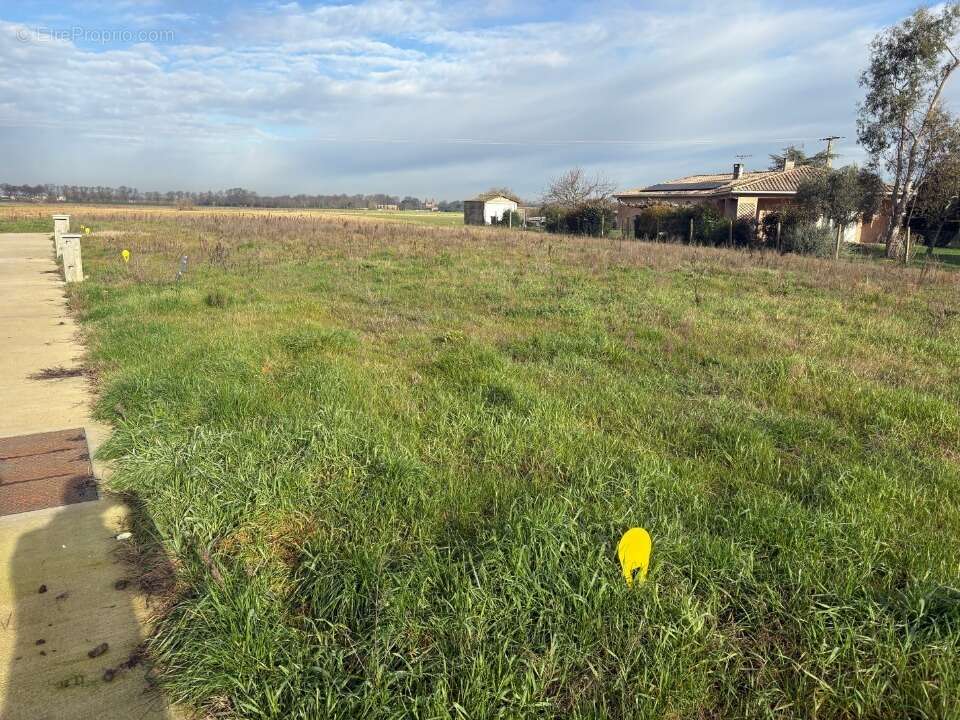 Terrain à BLAGNAC