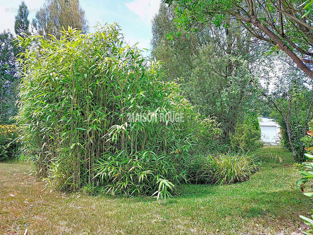 Maison de plain pied au calme de la campagne. - photo 12