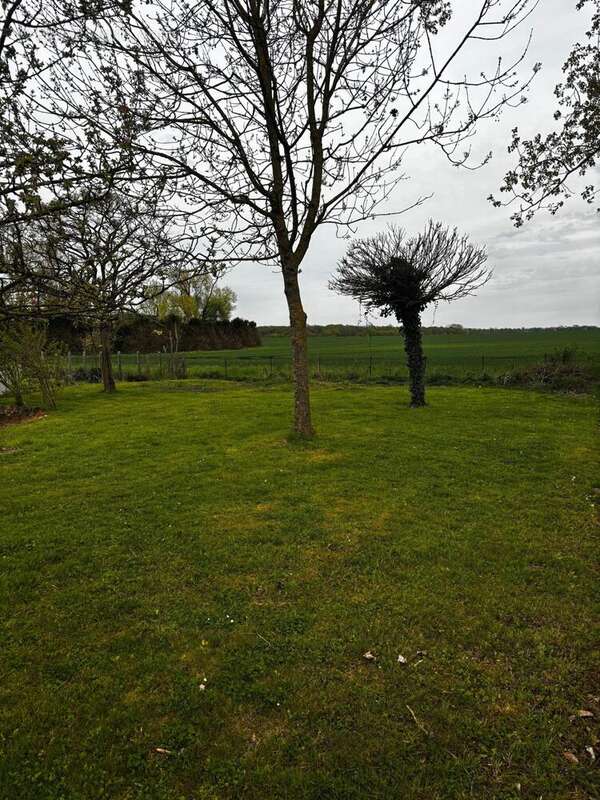 Photo 9 - Maison à BRANDONVILLERS