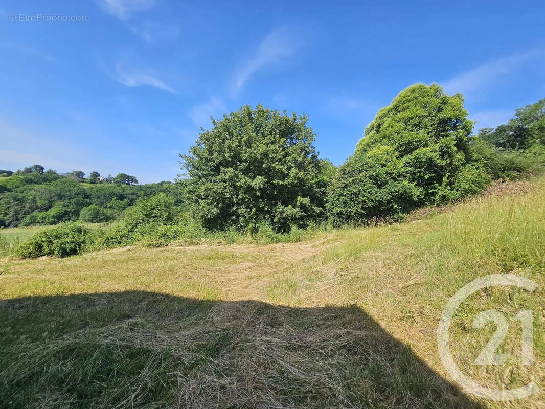 Maison 121 m² à Salies-De-Bearn  - photo 13