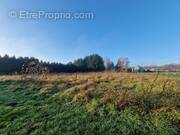 Terrain à CHATILLON-SUR-CHER