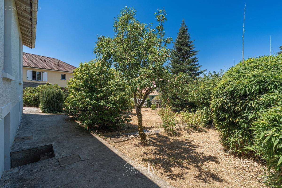 Maison 71 m² à Panazol  - photo 15