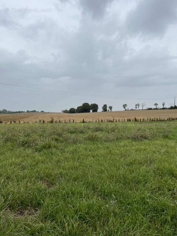 Terrain à VALFRAMBERT