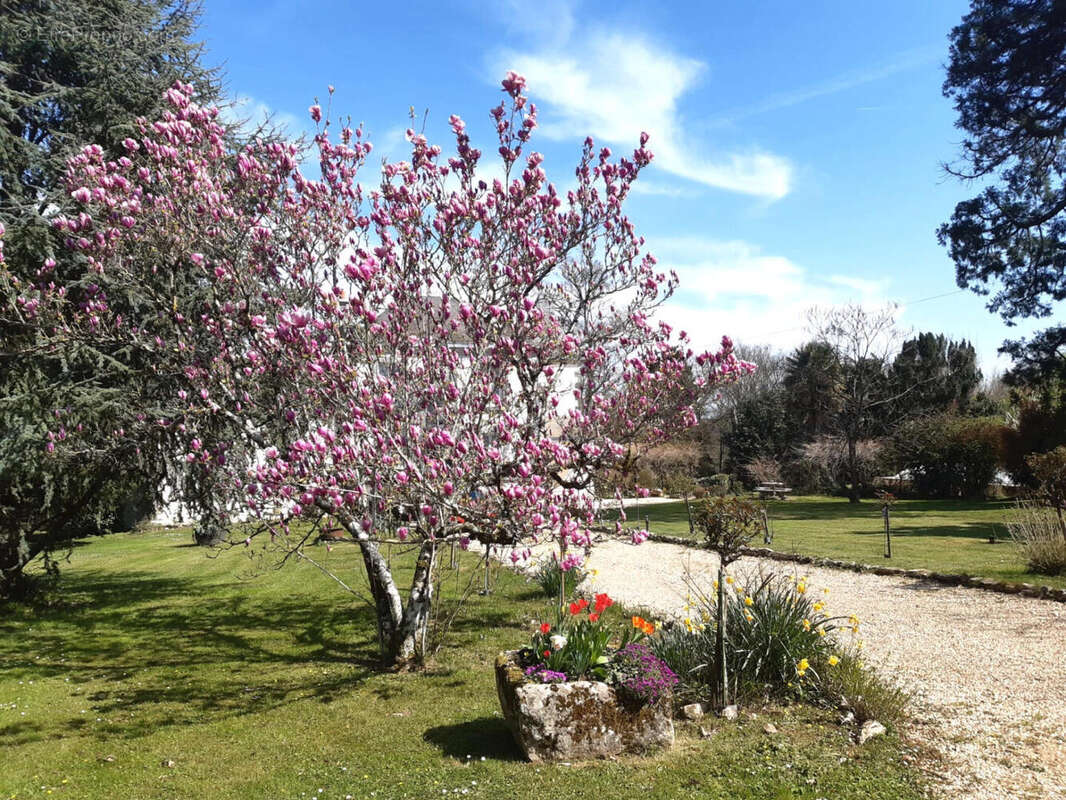 GROUNDS - Maison à CONDAC