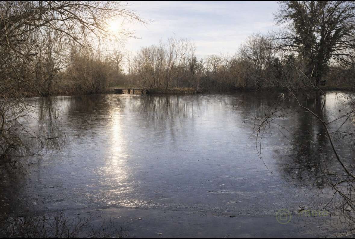 Propriété - photo 19