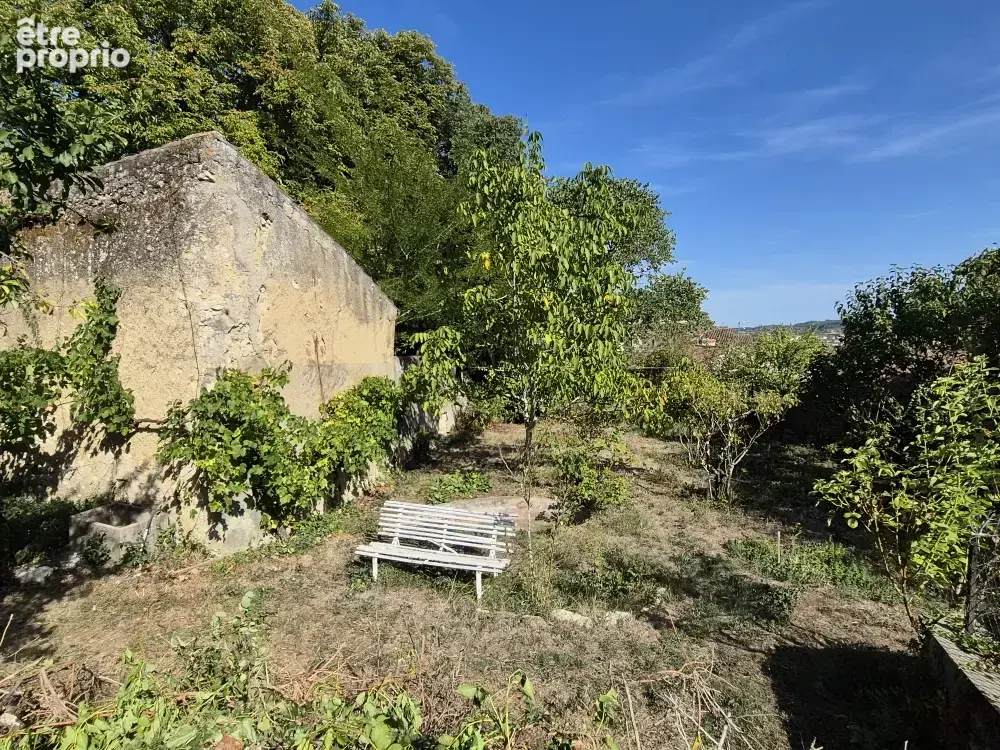 Centre historique d'Auch, Maison bourgeoise d'exception et son écrin de verdure - photo 3