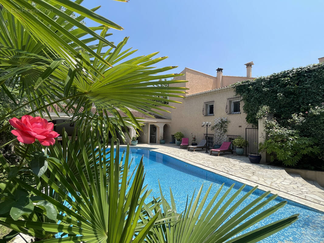 Maison à VAISON-LA-ROMAINE