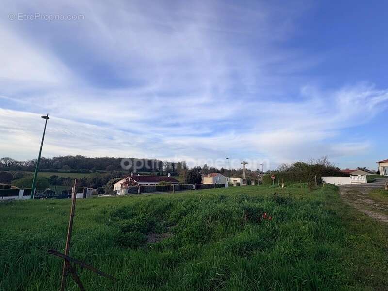 Terrain à SAINT-MICHEL-LE-CLOUCQ