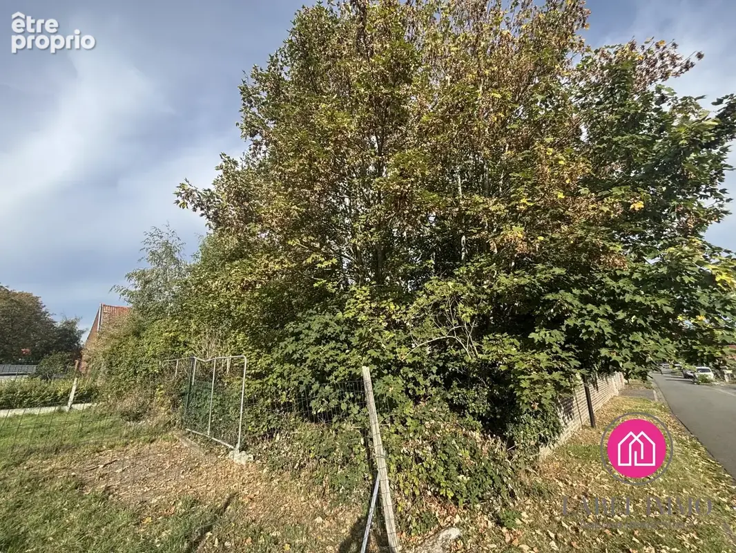Terrain 527 m² à vendre à Wallers (59135) - photo 5