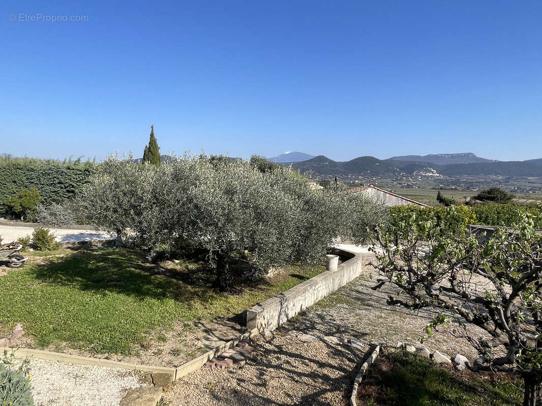 Maison à VAISON-LA-ROMAINE