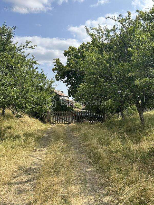 Terrain à BRAINS-SUR-GEE