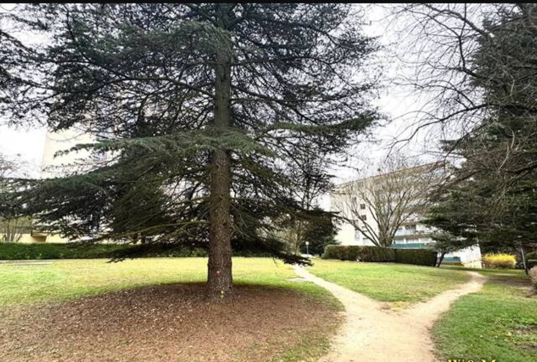 Appartement à RIS-ORANGIS