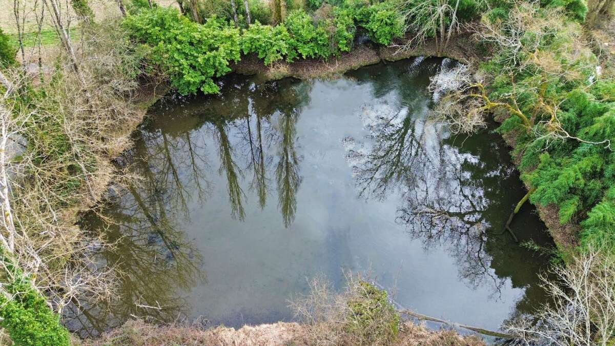 Terrain à SAINTE-ALVERE