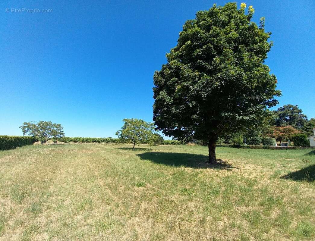À seulement 10 minutes de Cognac  Grande maison familiale de 215 m² avec terrain constructible de 2 500 m²  DPE C - photo 18