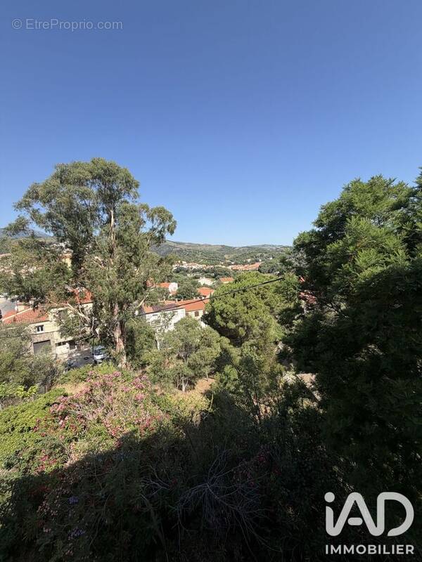 Photo 1 - Maison à BANYULS-SUR-MER