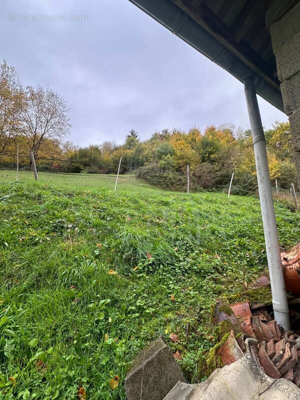 Maison à SAINT-MICHEL-DE-SAINT-GEOIRS