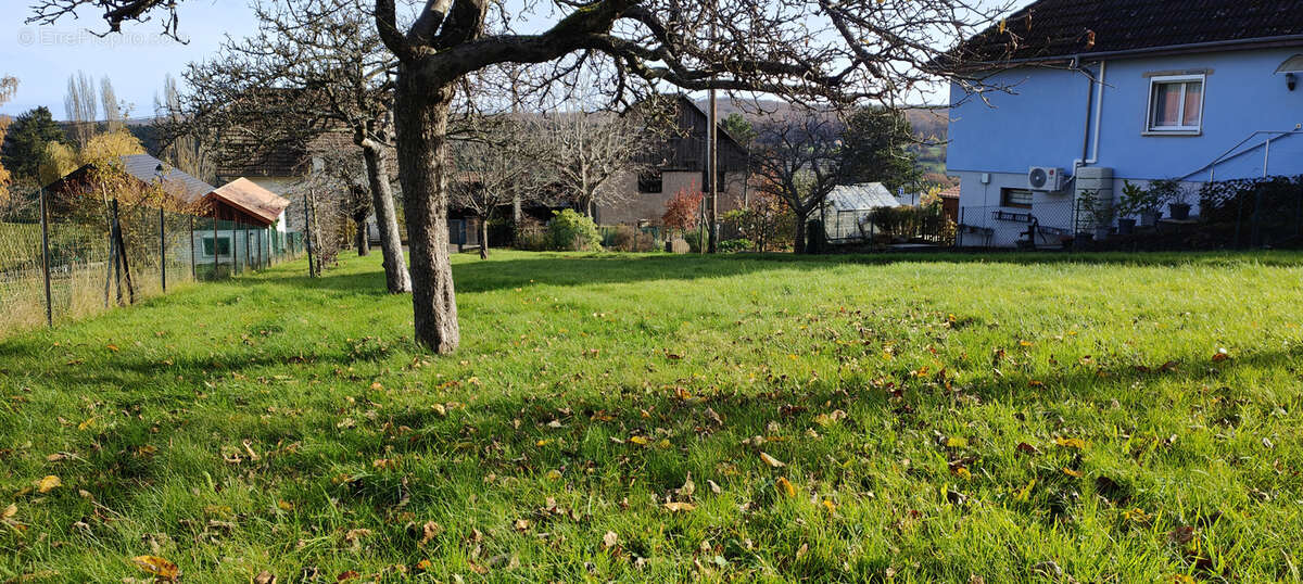 Terrain à MOLLKIRCH